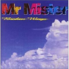Broken Wings: Best Of Mister Mister